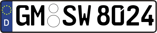 GM-SW8024