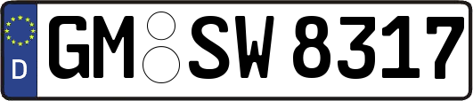 GM-SW8317