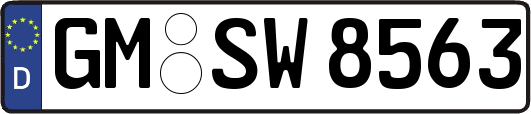 GM-SW8563