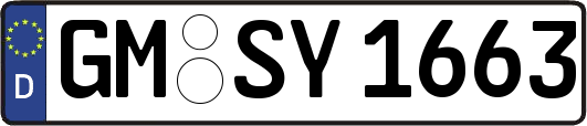 GM-SY1663