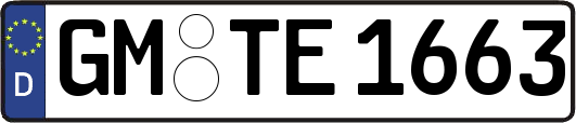 GM-TE1663
