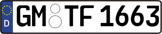 GM-TF1663