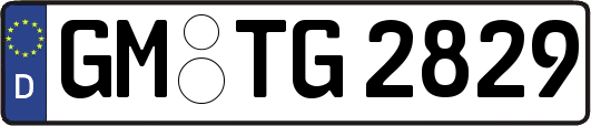 GM-TG2829