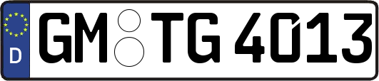 GM-TG4013