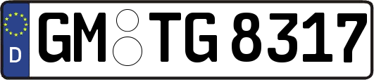 GM-TG8317