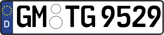 GM-TG9529