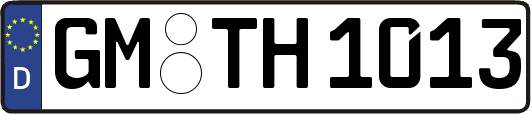 GM-TH1013