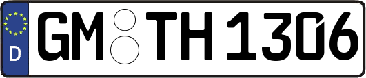 GM-TH1306