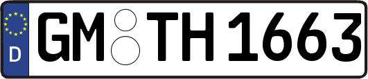GM-TH1663