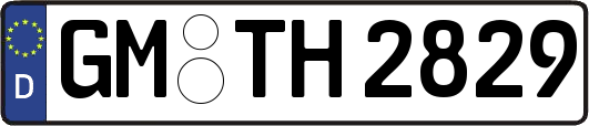 GM-TH2829