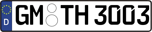 GM-TH3003