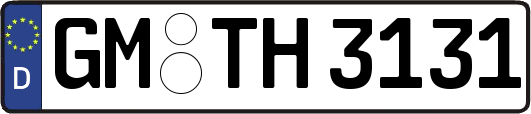 GM-TH3131