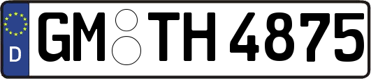GM-TH4875