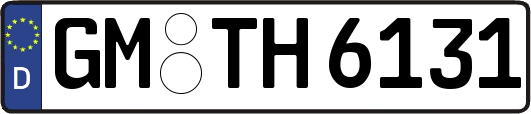 GM-TH6131