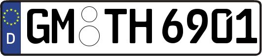 GM-TH6901