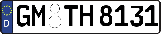 GM-TH8131