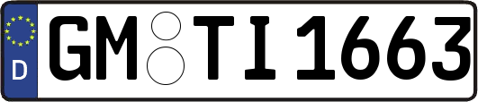 GM-TI1663