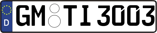 GM-TI3003