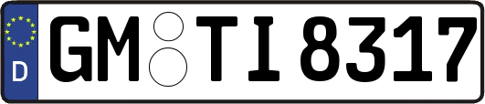 GM-TI8317