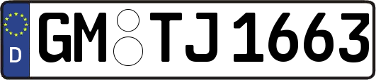 GM-TJ1663