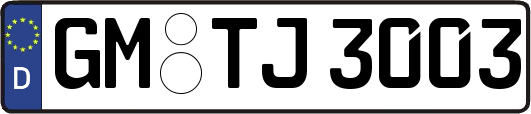 GM-TJ3003