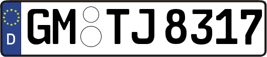 GM-TJ8317