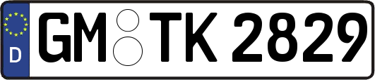 GM-TK2829