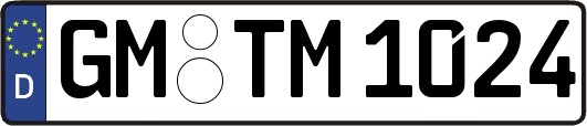 GM-TM1024