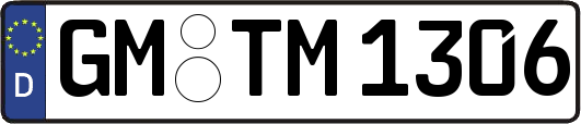 GM-TM1306