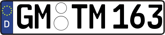 GM-TM163
