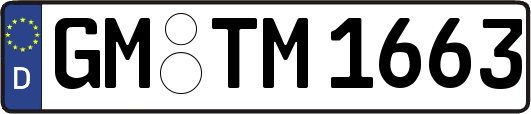 GM-TM1663