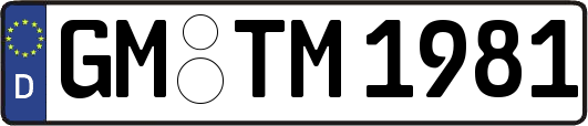 GM-TM1981