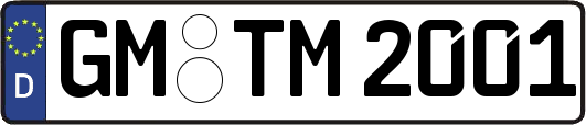 GM-TM2001