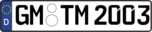 GM-TM2003