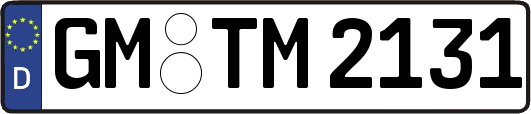 GM-TM2131