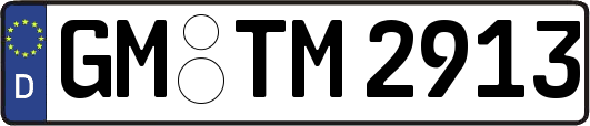 GM-TM2913