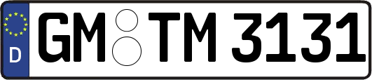 GM-TM3131