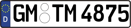 GM-TM4875