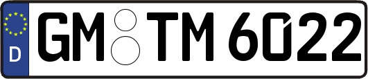 GM-TM6022