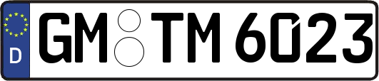 GM-TM6023