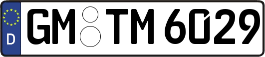 GM-TM6029