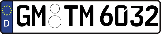 GM-TM6032