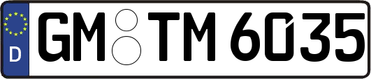 GM-TM6035
