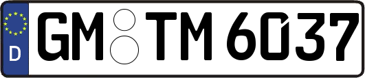 GM-TM6037