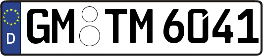 GM-TM6041