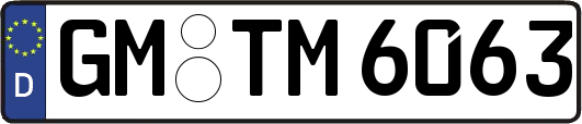 GM-TM6063