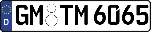 GM-TM6065