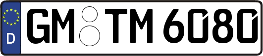 GM-TM6080
