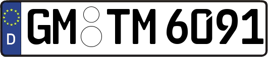 GM-TM6091