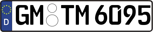 GM-TM6095